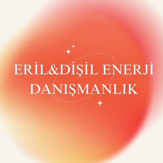 Eril & Dişil Enerji Dengeleme Danışmanlığı